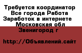 Требуется координатор - Все города Работа » Заработок в интернете   . Московская обл.,Звенигород г.